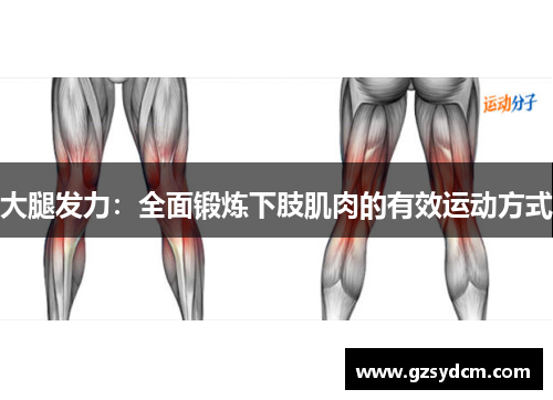 大腿发力：全面锻炼下肢肌肉的有效运动方式
