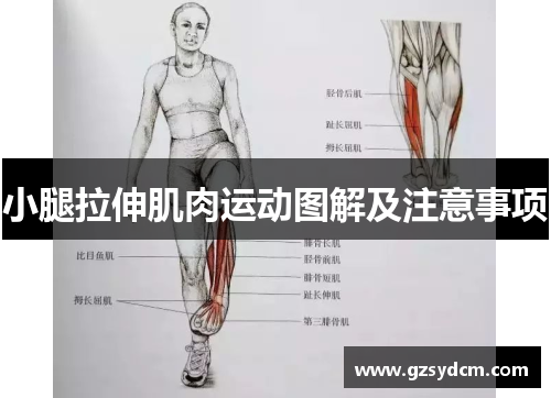 小腿拉伸肌肉运动图解及注意事项
