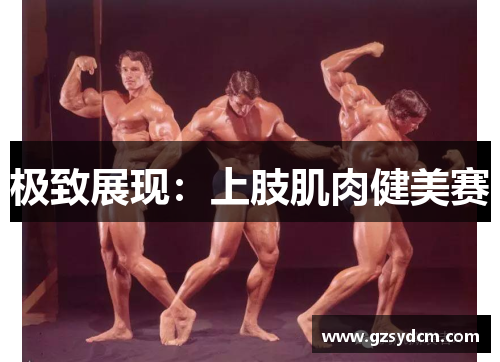 极致展现：上肢肌肉健美赛