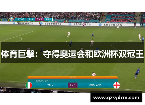 体育巨擘：夺得奥运会和欧洲杯双冠王