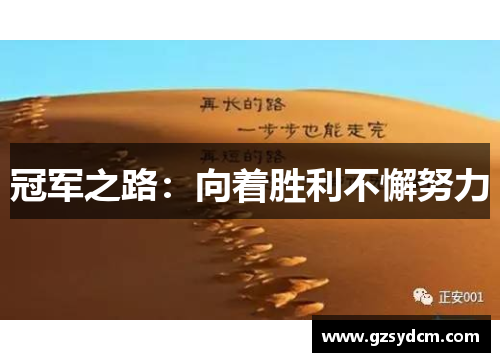 冠军之路：向着胜利不懈努力